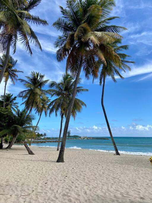Le Calypso, Beachside Heaven Le Gosier  Extérieur photo